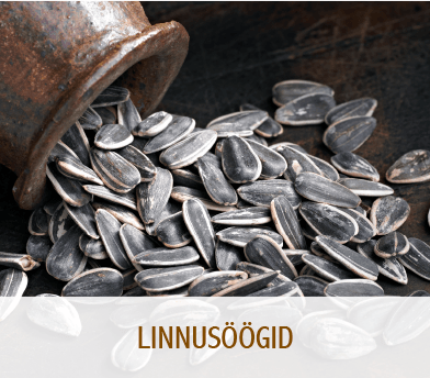 Linnusöögid